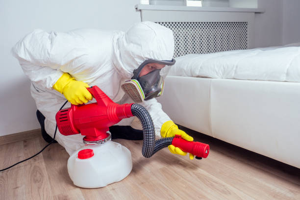 Best Best Pest Control Companies  in Dexter, OR